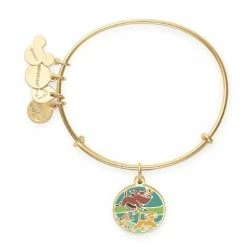 Coupon 🎉 Disney Alex & Ani Bracelet - The Lion King - HaKuna Matata 🧨