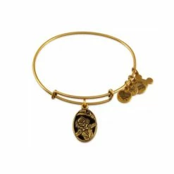 Deals 👍 Disney Alex & Ani Bracelet - Haunted Mansion 50th Anniversary ✨