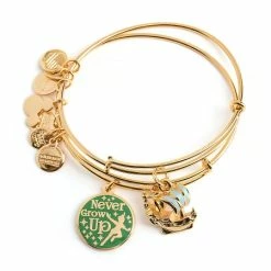 Discount 🤩 Disney Alex And Ani Bracelet Set - Peter Pan - Never Grow Up 🔥