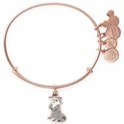 Brand new 🤩 Disney Alex & Ani Bracelet - Meeko - Pocahontas 👏