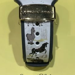 Best Pirce 🤩 Disney Magic Band 2 - Dooney & Bourke - The Disney Steeds 🥰