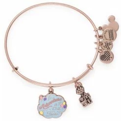 Buy ⭐ Disney Alex & Ani Bracelet - Pixar Up - Adventure 🛒